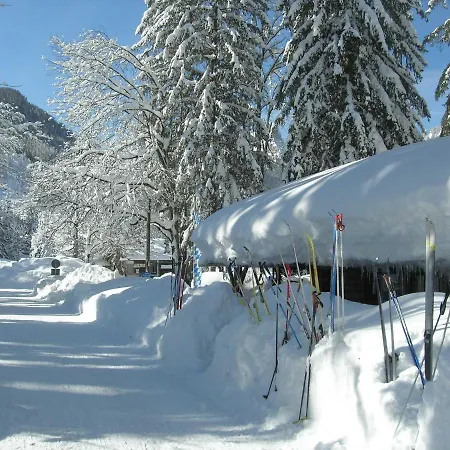 Vogel Зигсдорф